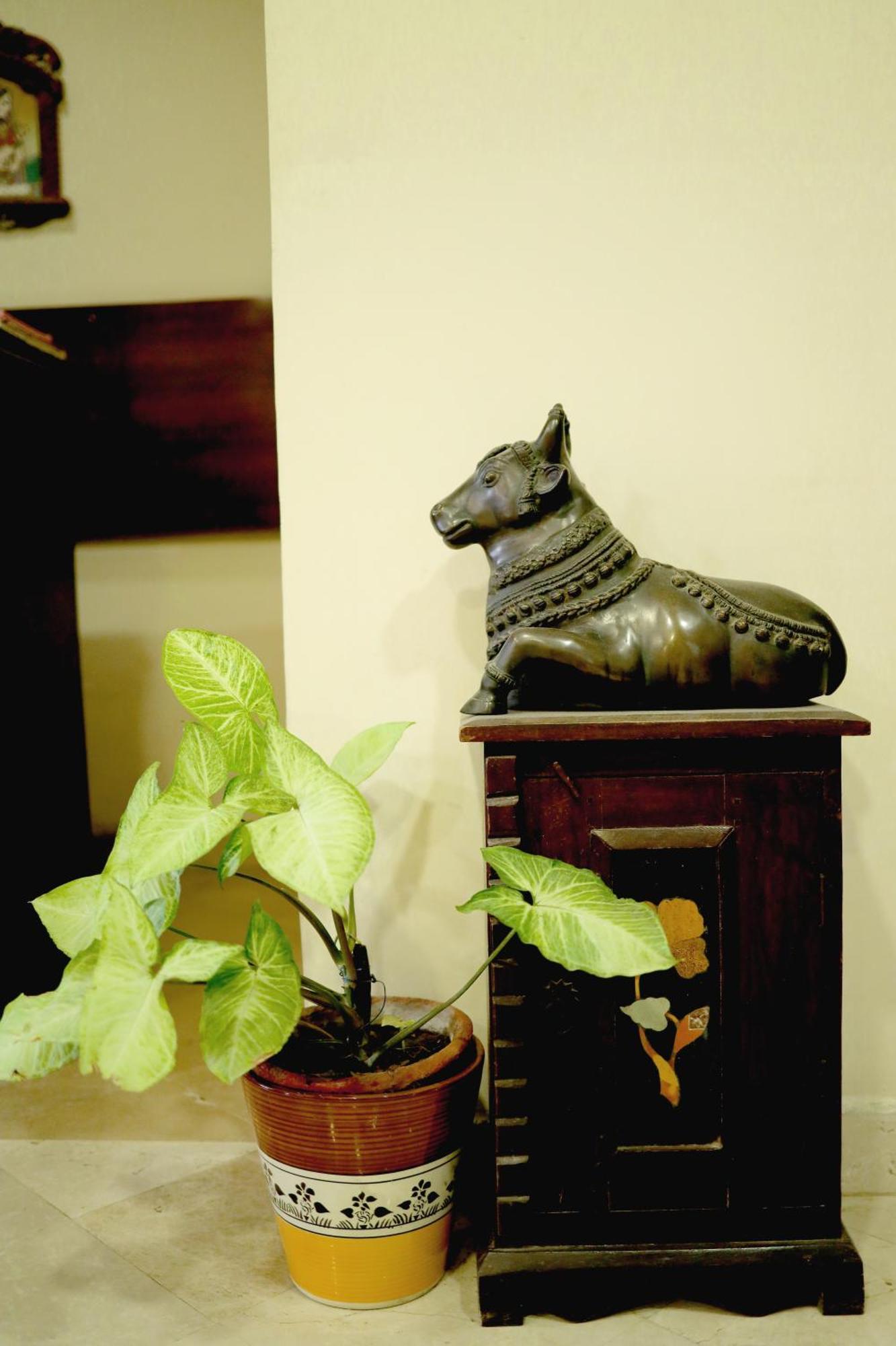 Bansi Home Stay Агра Экстерьер фото